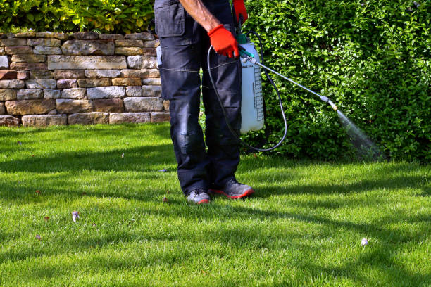 Best Residential Pest Control  in Westbrook Center, CT